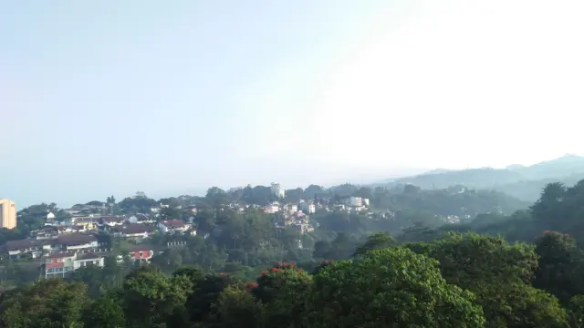 35 Pohon Ditebang Ilegal di Empat Titik, Anggaran Pembelian Lahan RTH Bandung 2026 Nihil
