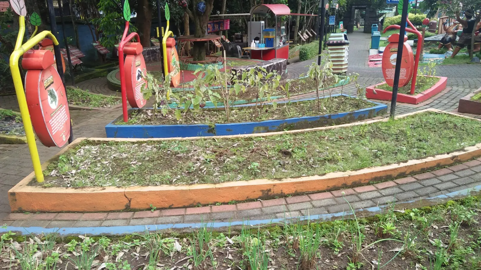 Seni Tani: Anak Muda Bandung Menyulap Lahan Tidur di Bawah SUTT Jadi Kebun Pangan
