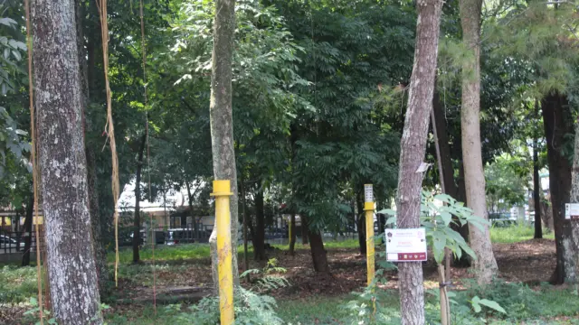 RTH Cihanja Diresmikan, Capaian Ruang Hijau Bandung Masih Jauh dari Target 30 Persen